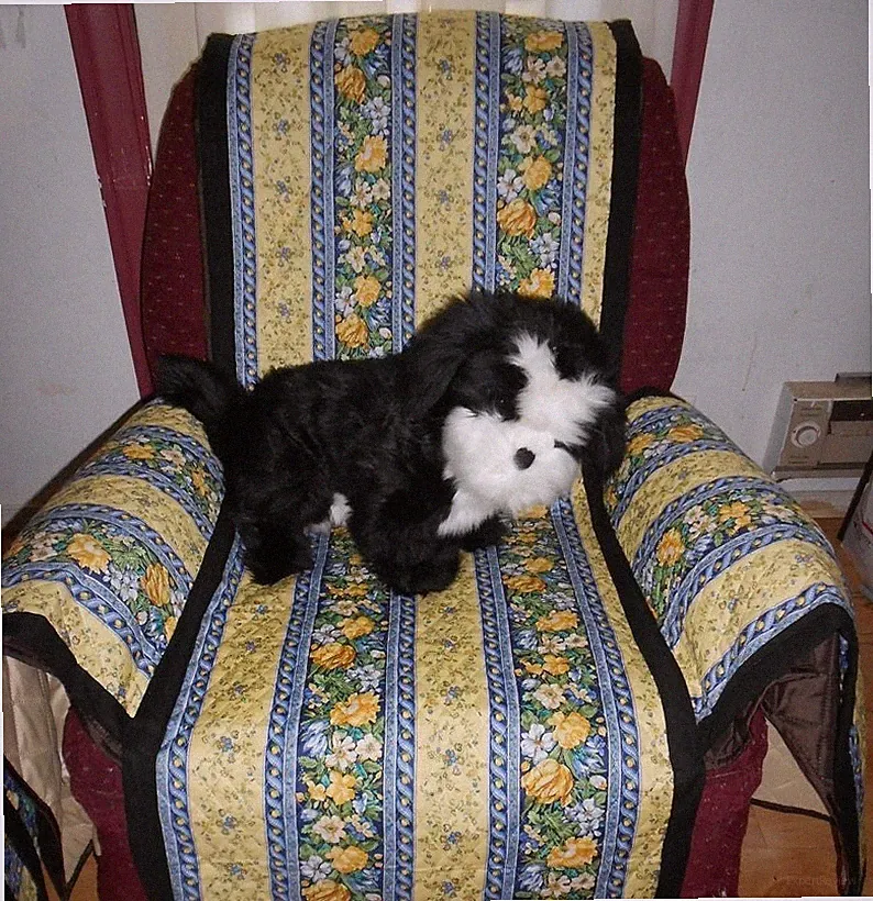 PET CARE REVERSIBLE COVER: Protect your chair from pet hair & more.